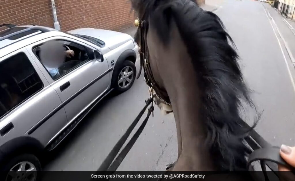 Watch: Police On Horseback Chase Down Driver Using Phone At Wheel In UK
