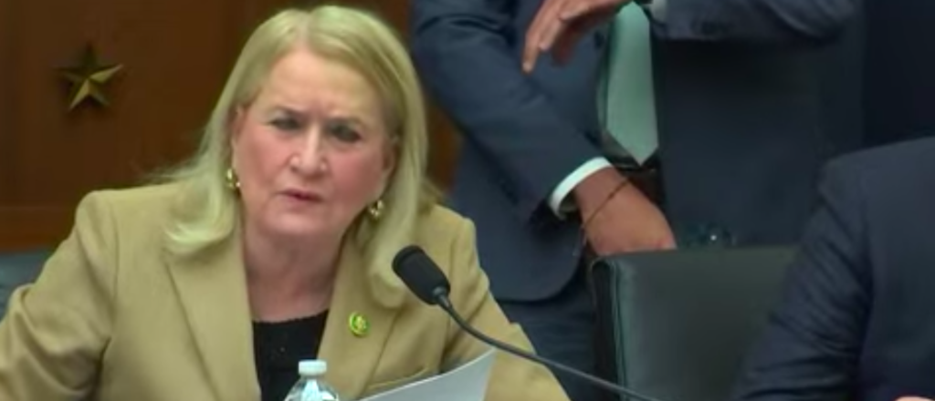 Screen Shot from Select Subcommittee Hearing on the Weaponization of the Federal Government: The Twitter Files