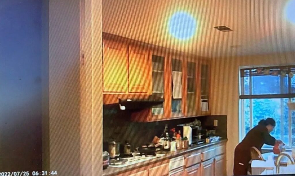 SoCal Doctor Indicted on Multiple Felonies for Poisoning Her Husband with Drano | The Gateway Pundit