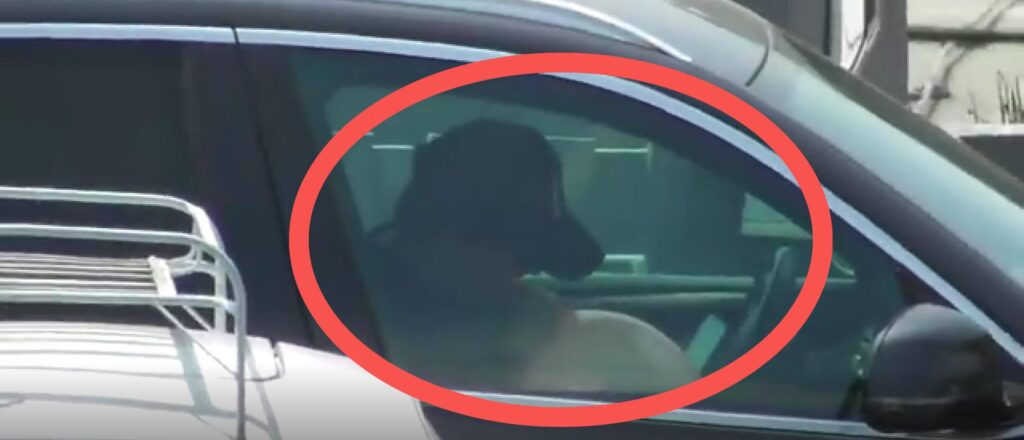 Public/Screenshot/Website — tmz.com