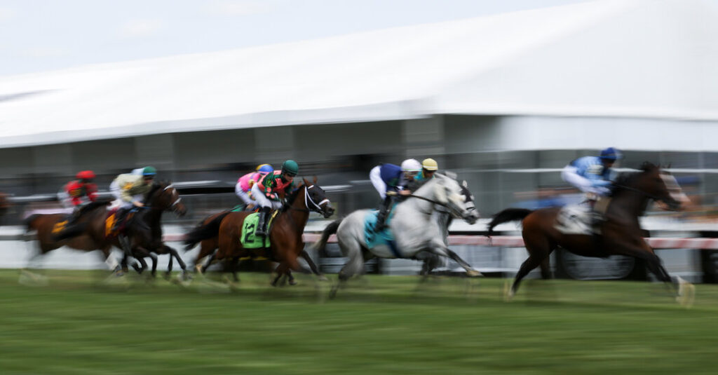 2023 Preakness Stakes: What to Watch For