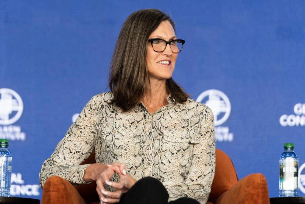 Cathie Wood Says Software Stocks Are Next AI Bet After Nvidia