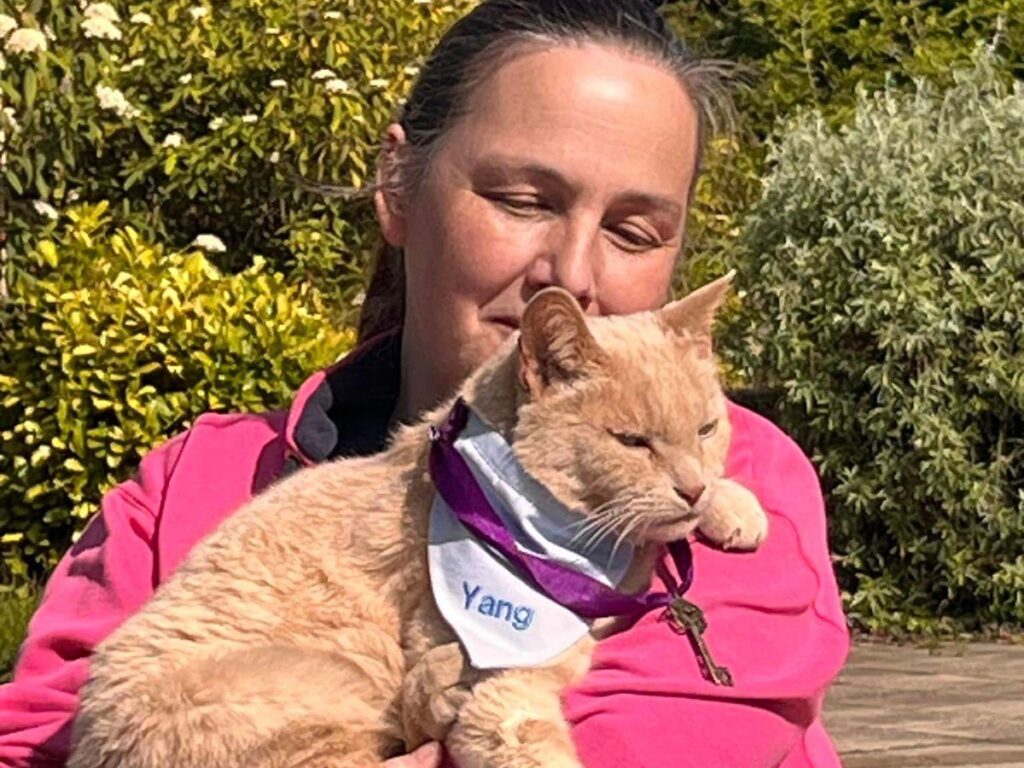 English Town Gives Cat ‘Freedom To Roam’ For Years Of Hospital Service