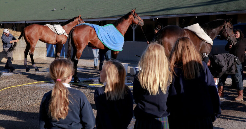 Four Horse Deaths at Churchill Downs Renew Safety Concerns Ahead of Kentucky Derby