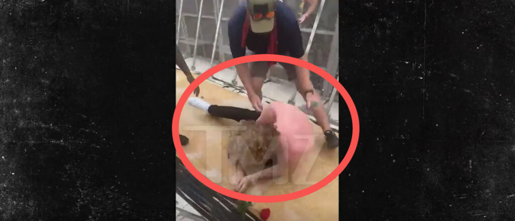 Yung Gravy rapper falls down during live concert, Hangout Festival, Alabama, TMZ