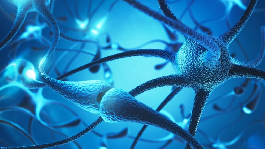 Scientists Discover Chemical That Could Help Heal Nerve Damage—A Potential Breakthrough For Paralysis Patients