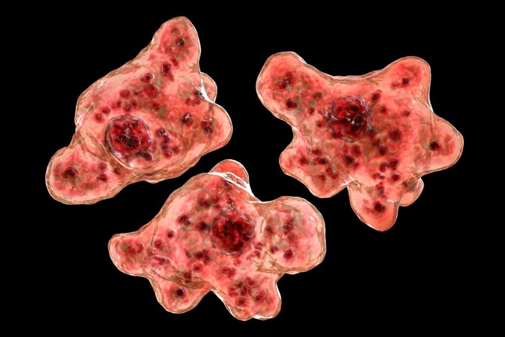Brain-Eating Amoeba Kills 2nd Person in July, This Time In Georgia