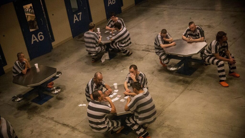 Fraud Or Abuse? The Fine Line In Accurate Claim Submission