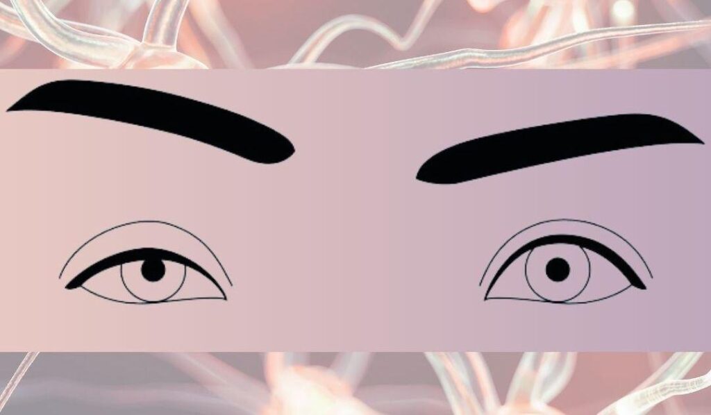 MRNA & CAR T Therapy To Treat Rare Autoimmune Disease