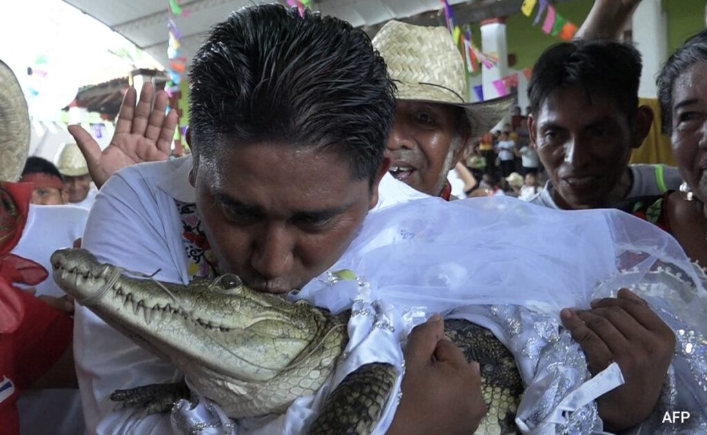 Mexican Mayor Gets Married To Crocodile To Bring Fortune To His People