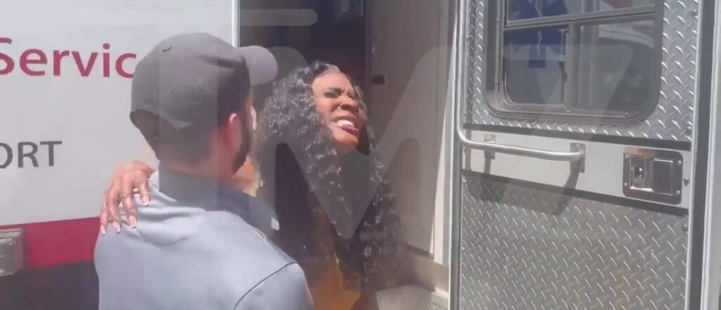 Momma Dee hit-and-run TMZ