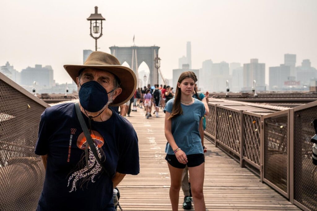 Tiny Bugs Swarm New York City Amidst Canada Wildfire Smoke