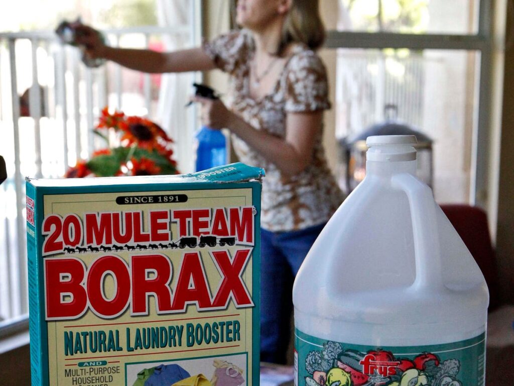 What’s This New Borax TikTok Trend? Here Are The Dangers