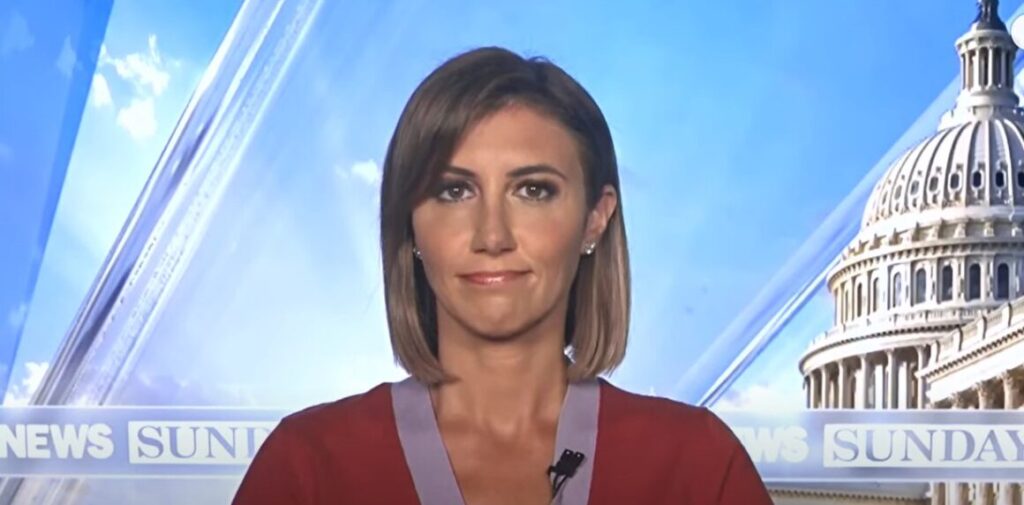 Trump legal spokesperson Alina Habba on Fox News Sunday