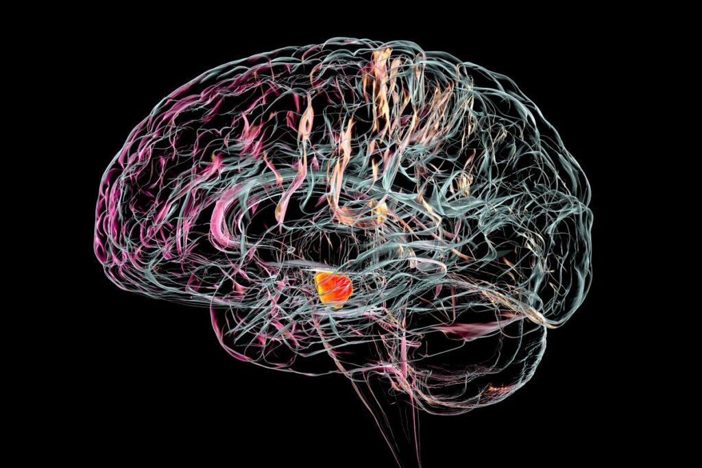Novel Approaches To Treat Parkinson’s May Signal A Turning Point