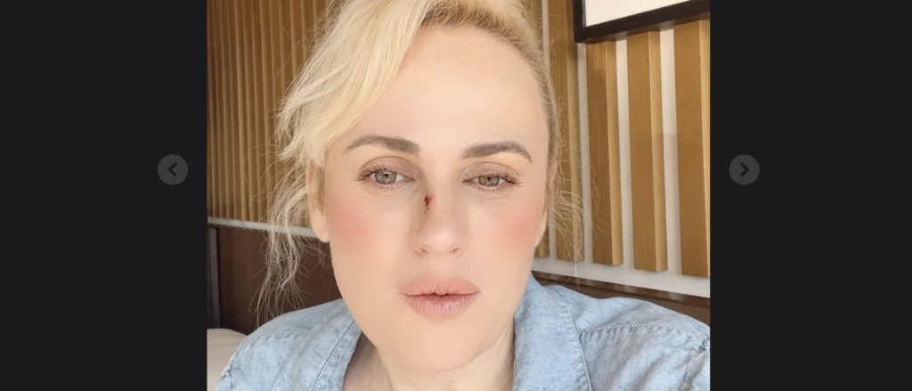 Public/Screenshot/Instagram — User: rebelwilson
