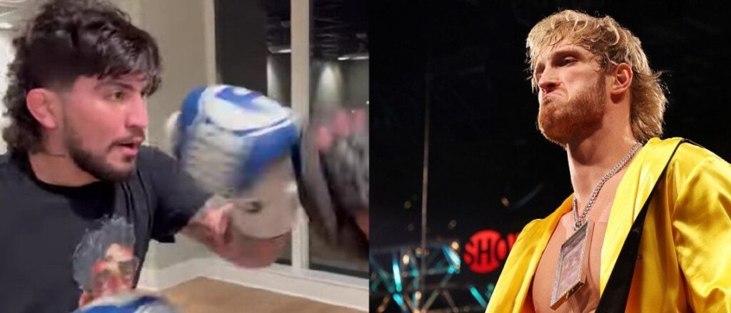 Danis and Logan, Youtube,Misfitboxing, Getty Images,