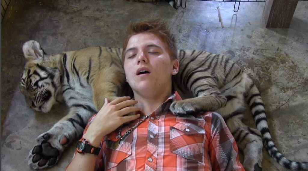 Why Declawing Tigers Or Other Big Cats Is Bad For Their Health