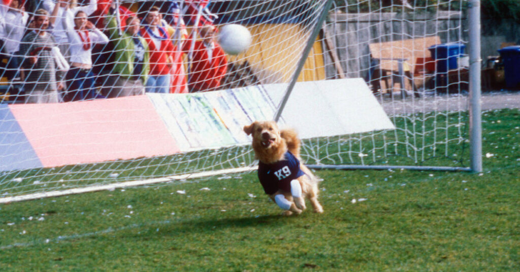 ‘Air Bud: World Pup’ Keeps Winning Fans for the 1999 World Cup Stars