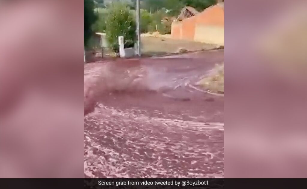 Watch: 2.2 Million Litres Wine Flowed Through Portugal Town. Here
