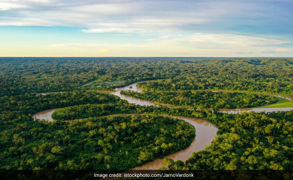 Deforestation In Amazon Rainforest Fell By Over 66% Last Month: Brazil