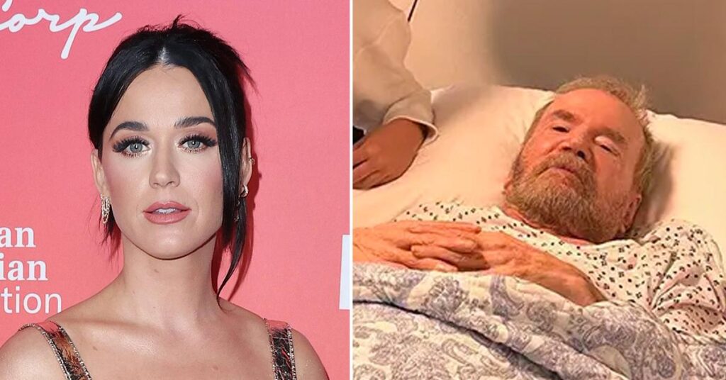 Katy Perry Accused of 'Exploiting the Elderly' in War Against 84-Year-Old Veteran