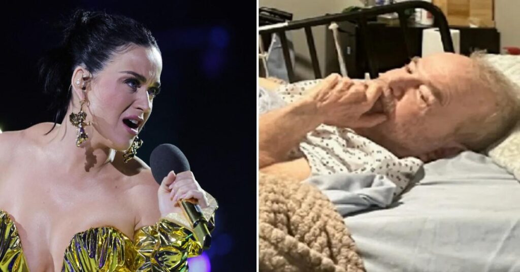 Katy Perry Seeks $5.3 Million in Damages From 84-Year-old Vet