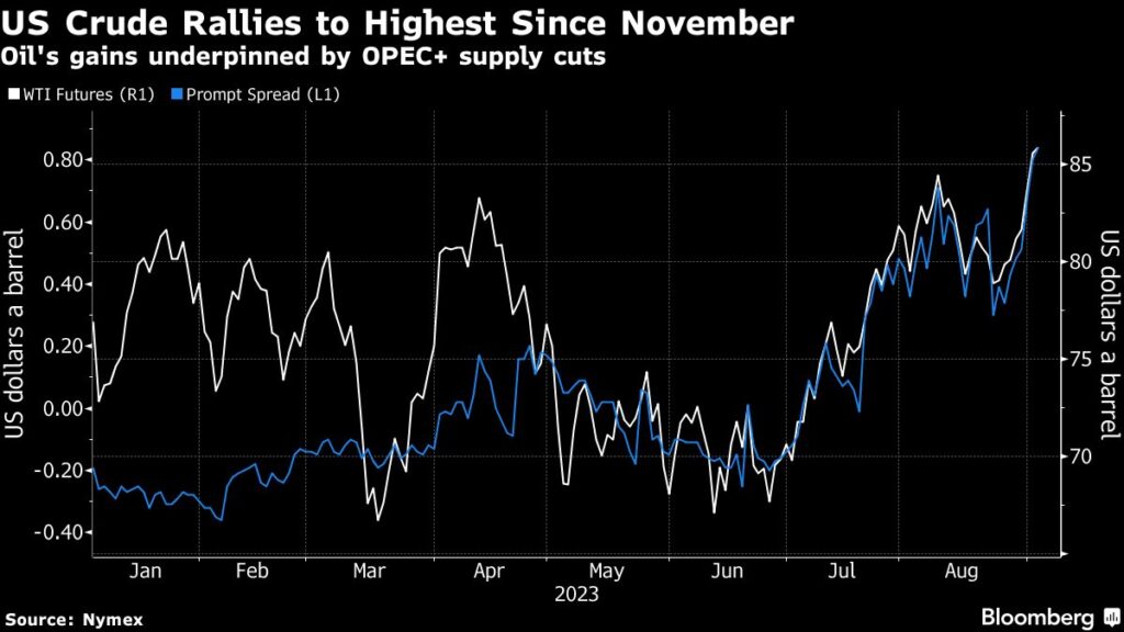 Oil Steadies After Hitting Highest Since November on OPEC+ Cuts