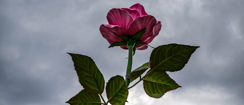 GERMANY-ART-SCULPTURE-GENZKEN