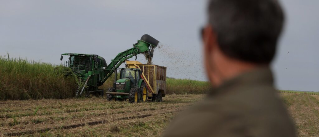 Severe Drought In Louisiana Impacts State’s Agriculture Yields