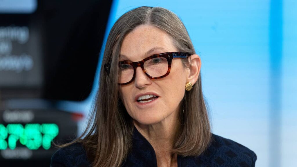 Cathie Wood buys $12.9 million of tumbling tech stock