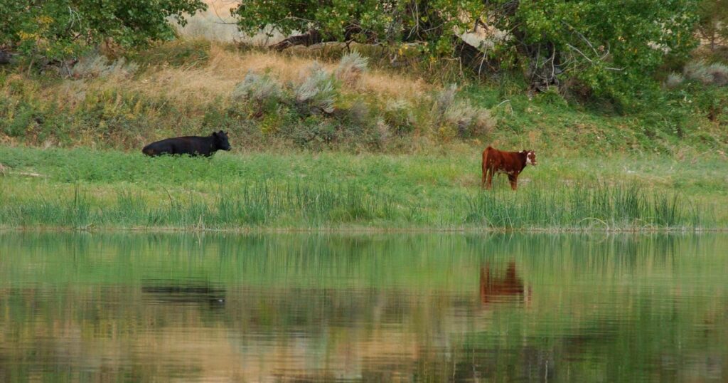 Interior Cancels Rule That Put Conservation On Equal Footing With Development