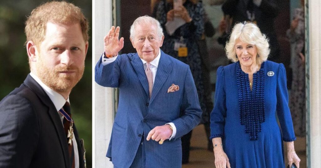King Charles, Camilla Clash Over Harry Meeting During US Tour
