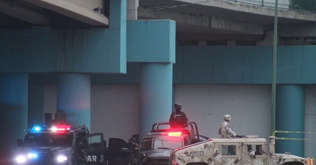 Cartel Gunman Kills 10 Family Members in Mexico, Including Toddler