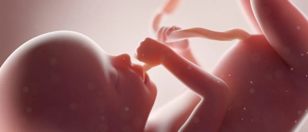 North Carolina Rep. Ben Moss Pulls Name From Bill Classifying Abortion As Murder