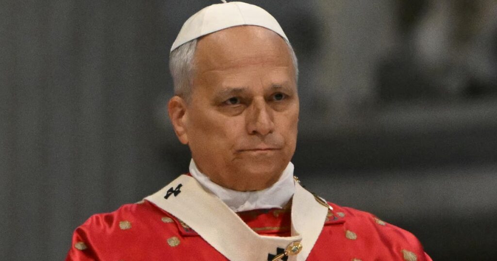 Pope Leo Issues Blunt Message For Profit-Driven Polluters