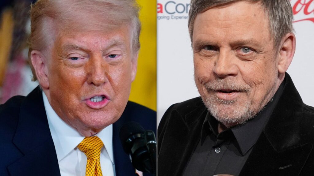 White House Slams Mark Hamill Over Trump Grave Picture