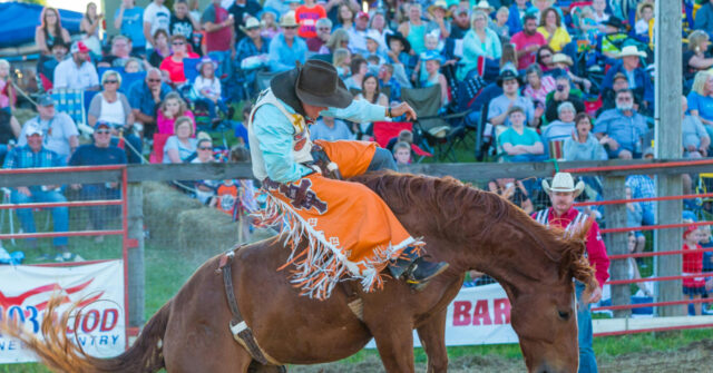 California Dad Blasted for Intercepting T-Shirt Thrown to a Woman at Rodeo