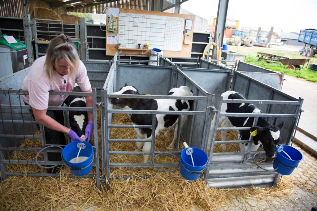 Colostrum Has Been Taking Over Social Media—But What Does The Science Say? Colostrum Has Been Taking Over Social Media—But What Does The Science Say?