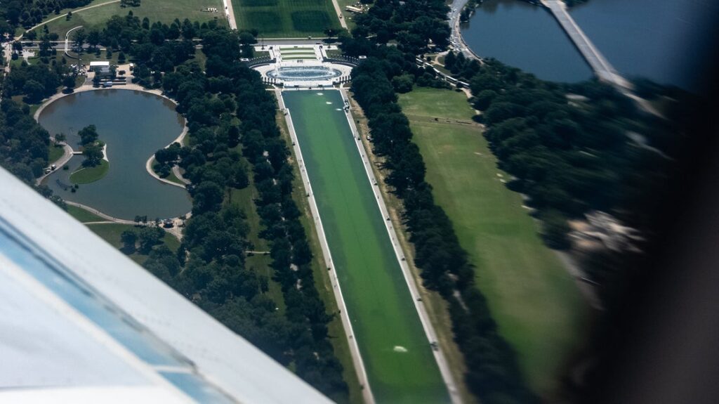 Critics Pounce As Trump Officials Race to Clear Algae-Filled Reflecting Pool Critics Pounce As Trump Officials Race to Clear Algae-Filled Reflecting Pool