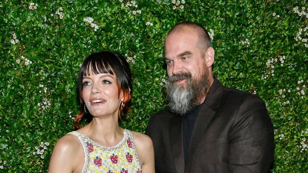 David Harbour Reacts To Lily Allen's Album Allegedly Written About Relationship