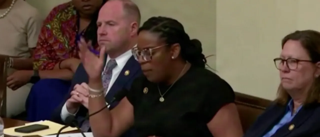 Democrat Lawmaker LaMonica McIver Is Mad DHS Isn’t Locking Up Enough White Illegal Immigrants