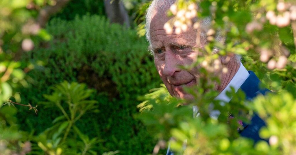 Inside King Charles ‘Healing Garden’ During Cancer Battle’ Inside King Charles 'Healing Garden' During Cancer Battle'