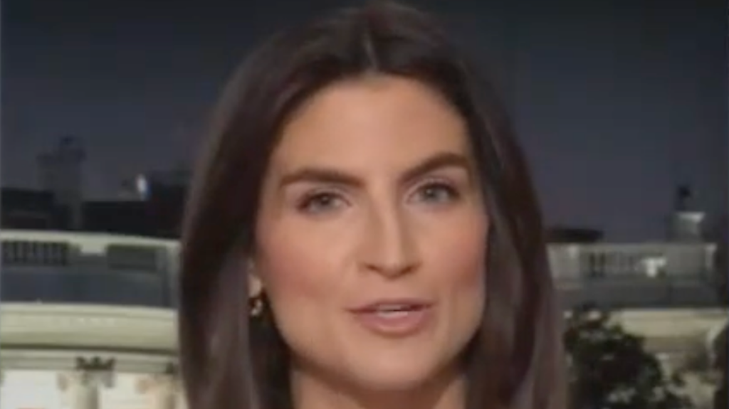 Kaitlan Collins Fires Back At Gas Price 'Non-Story' Claim