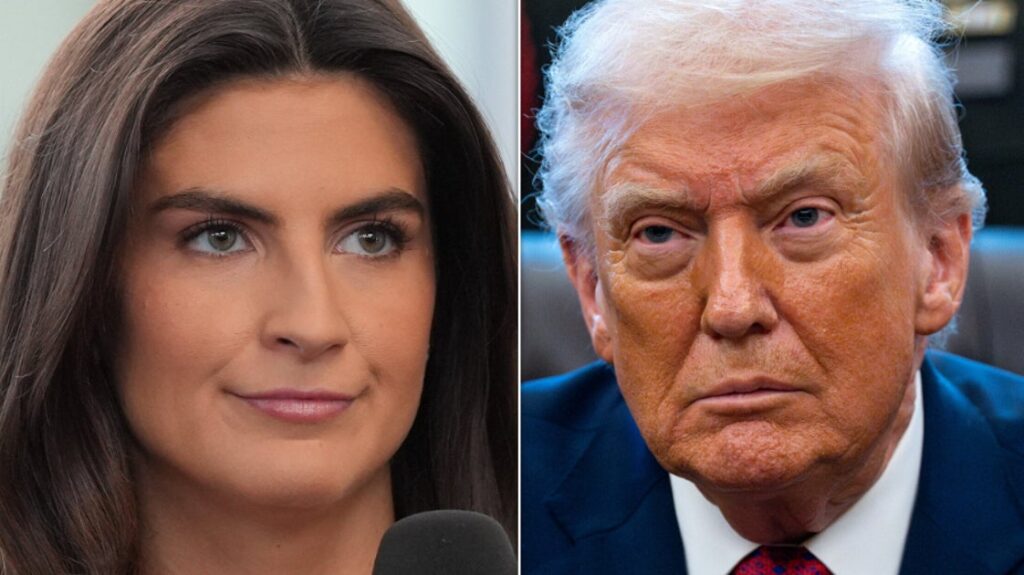 Kaitlan Collins Flags The Striking Detail In Trump's Latest Face-To-Face Outburst At Her