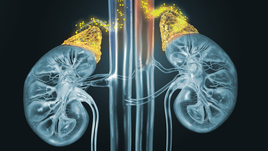 Kidney transplant, livestock disease, Texas: Morning Rounds Kidney transplant, livestock disease, Texas: Morning Rounds