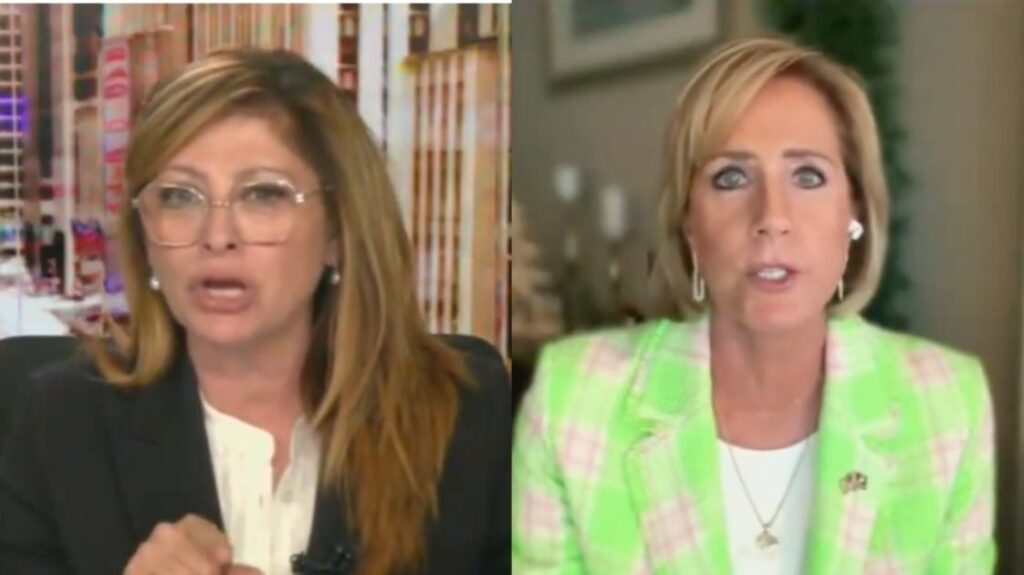 Maria Bartiromo Scolds Dems Over Bill Replacing 'Mother' And 'Father' With Gender-Neutral Terms