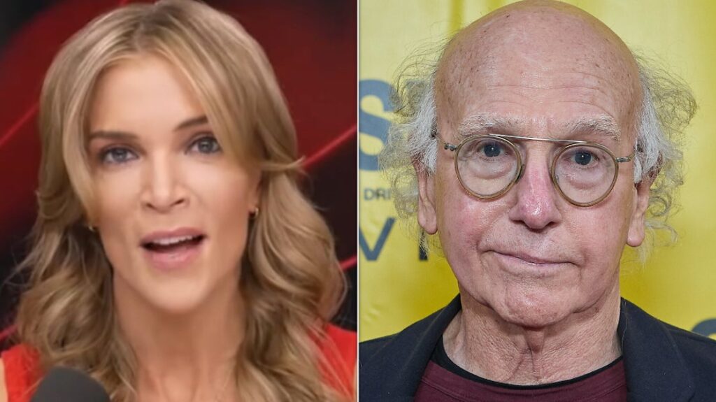 Megyn Kelly Rips Larry David Over His Trump Remarks