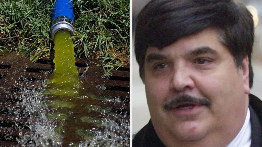 Reactions To 'Comic Book Villain' Hired to Fix Reflecting Pool