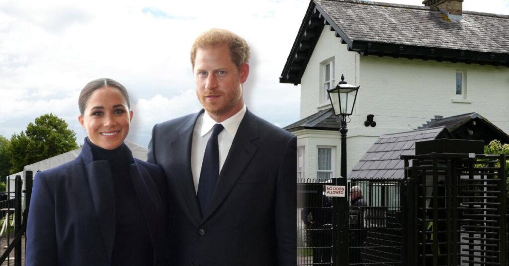 Royal Family Criticized Over Costly Harry and Meghan Project Royal Family Criticized Over Costly Harry and Meghan Project